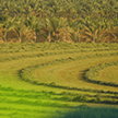 الجوف